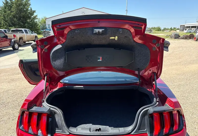 2020 Ford Mustang Jack Roush Edition photo 38